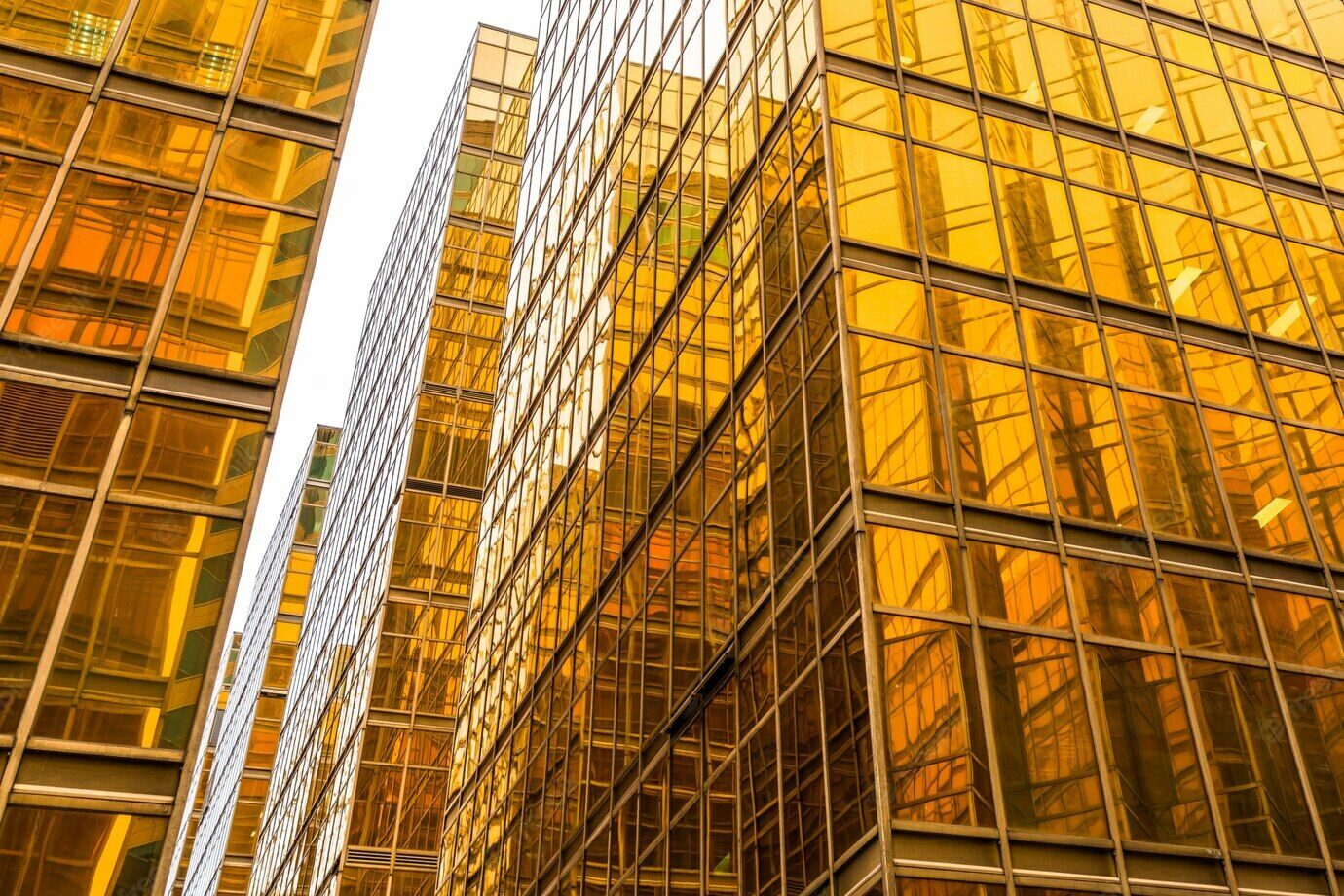 golden-financial-architecture-face-to-face_1359-824